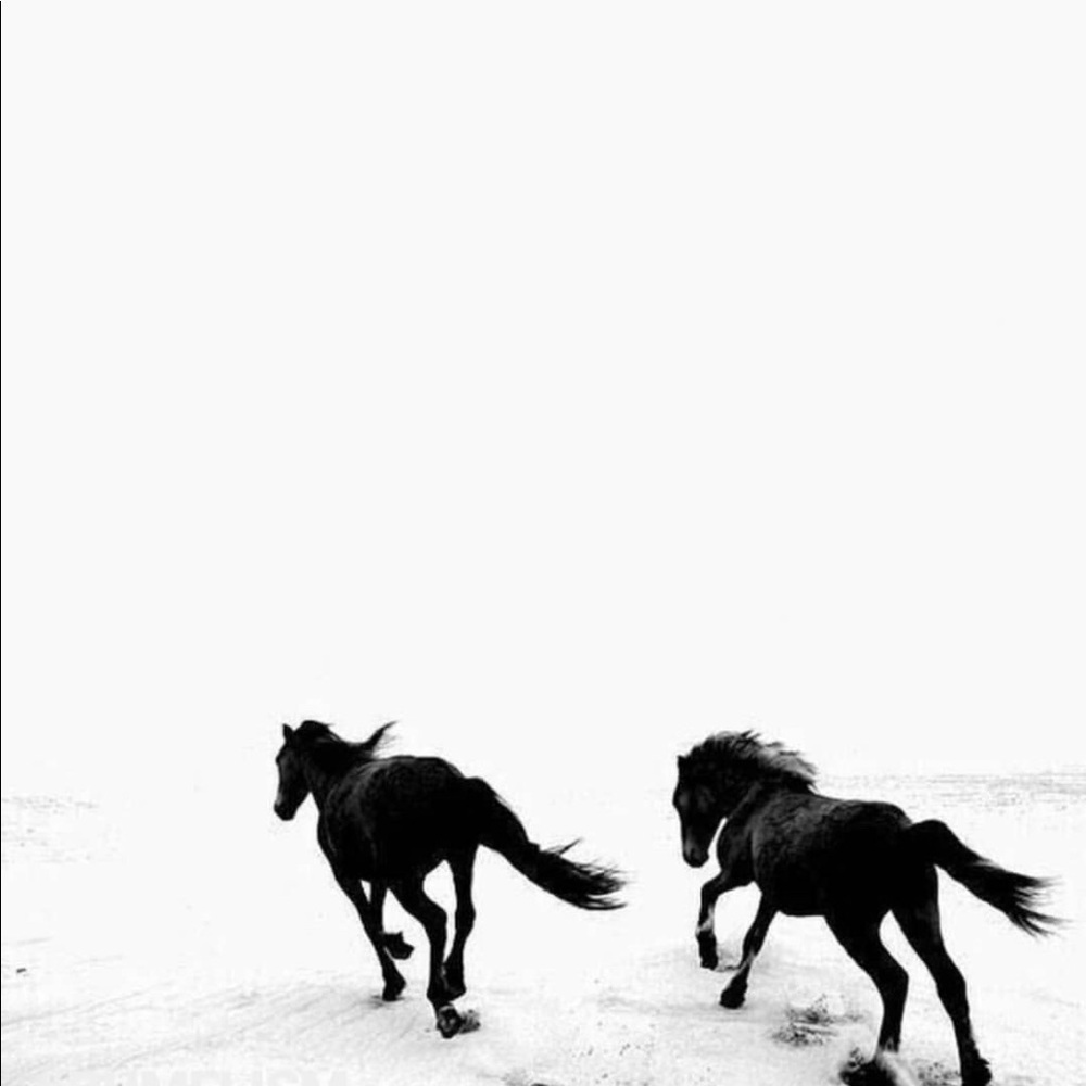 Meet your Posher, Cassandra